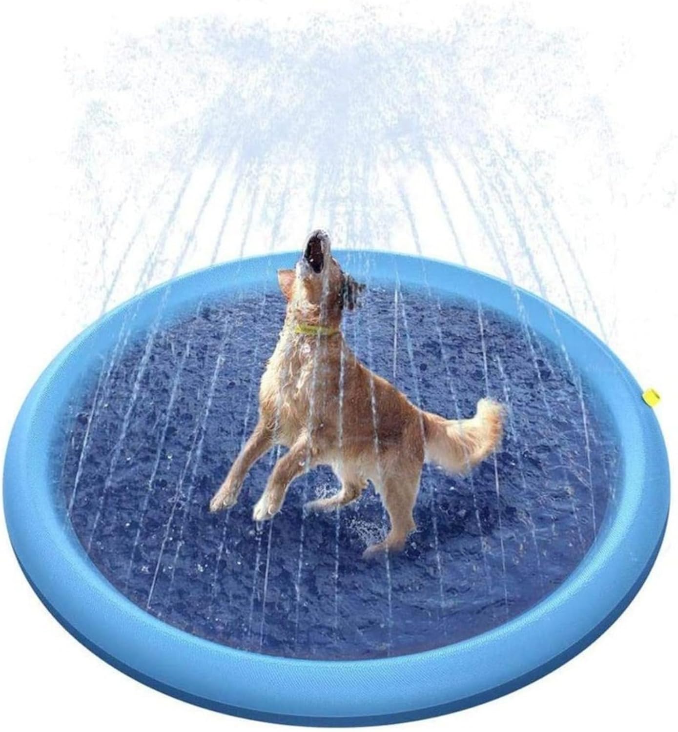 Fidosplash Splash Pad for Dogs Heavy Duty, Foldable Non-Slip Water Play Mat Outdoor Backyard Pool, Cooling Summer Fun Activity for Small Medium Large Breeds Puppies (67'')